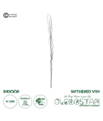 GloboStar® Artificial Garden REAL DRIED WITHERED VINE STEM 21221 Τεχνητό Διακοσμητικό Κλαδί Αμπελιού Y180cm